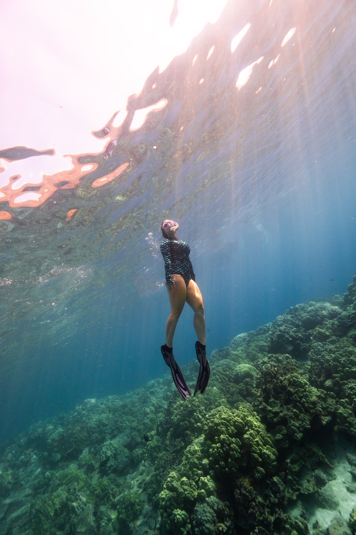 Free Diver On a Reef with Kaimana Ocean Safari