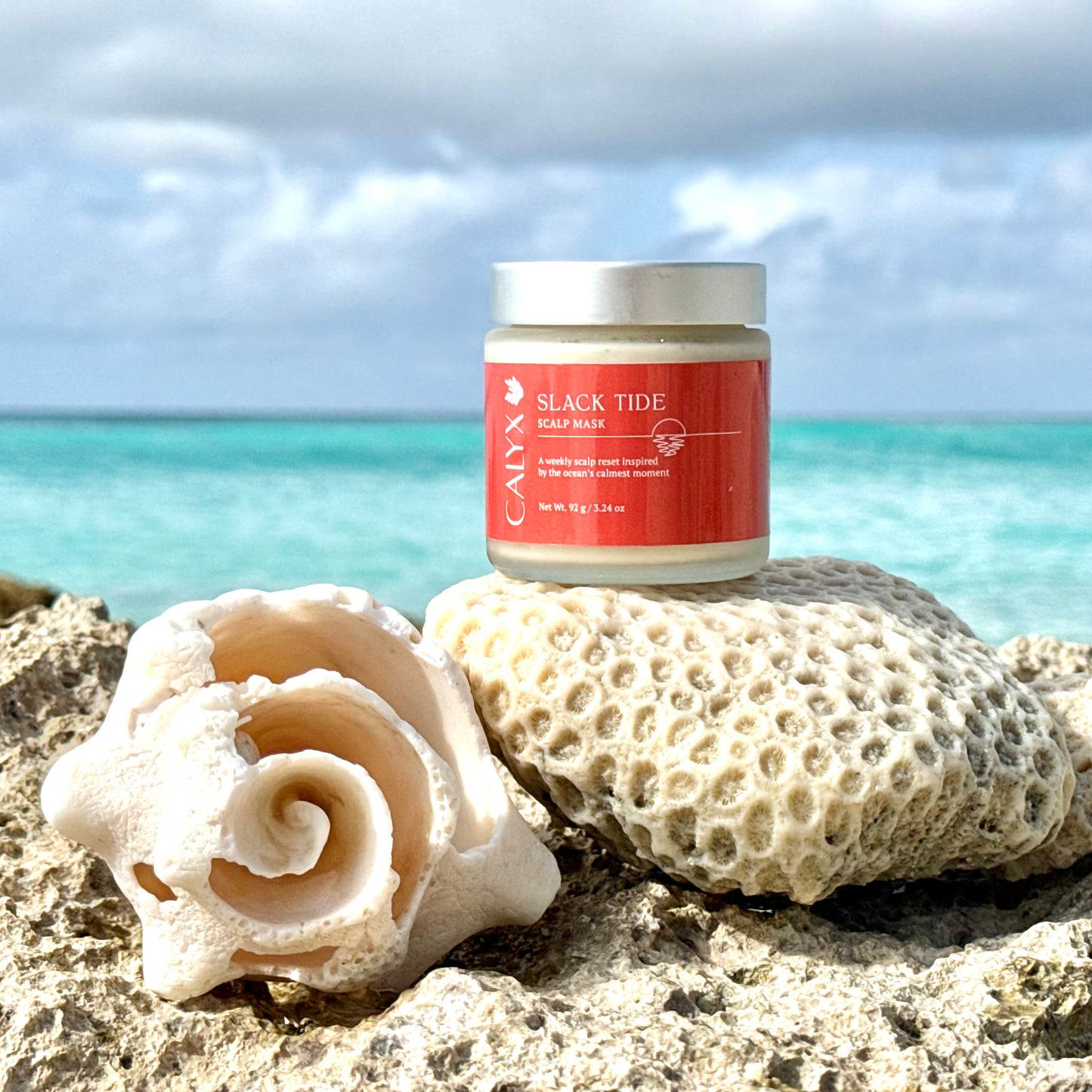 Slack Tide Scalp Mask