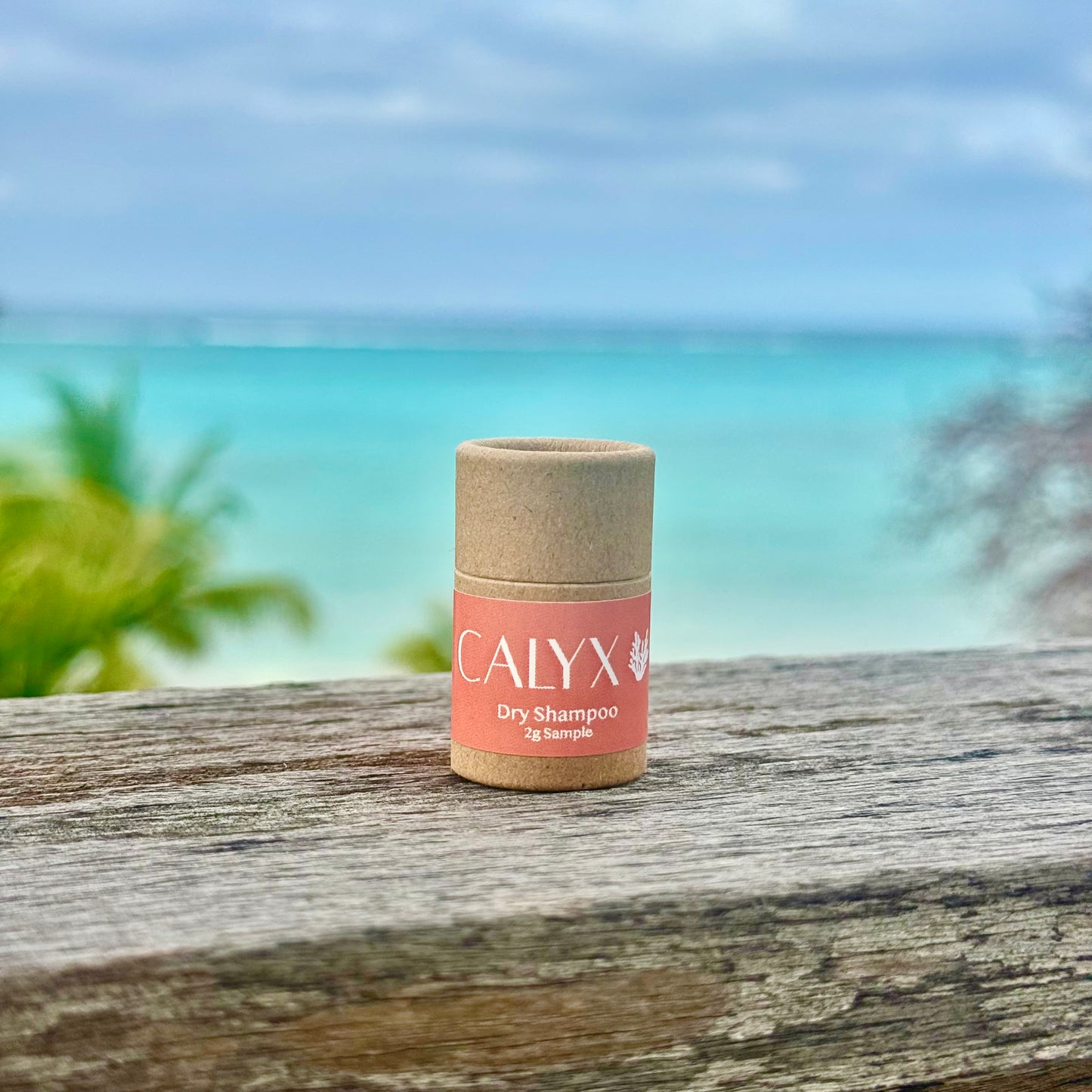 CALYX Dry Shampoo Sample