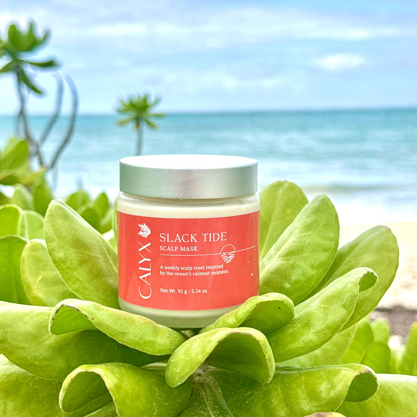 Slack Tide Scalp Mask