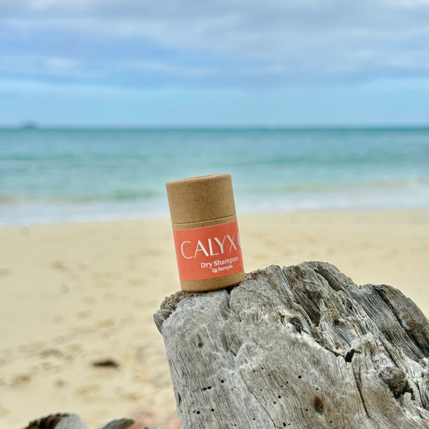 CALYX Dry Shampoo Sample